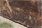 Petrified Forest Newspaper Rock