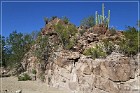 Picture Rocks Petroglyphs