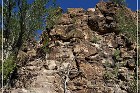 Picture Rocks Petroglyphs
