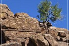 Picture Rocks Petroglyphs