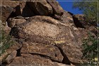 Picture Rocks Petroglyphs