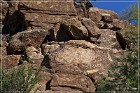 Picture Rocks Petroglyphs