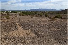 Quartzsite Geoglyphs