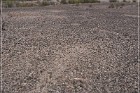 Quartzsite Geoglyphs