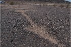Quartzsite Geoglyphs