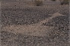 Quartzsite Geoglyphs