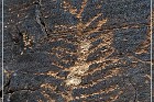 Rock Art Ranch - Petroglyphs