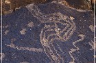 Rock Art Ranch - Petroglyphs