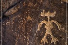 Rock Art Ranch - Petroglyphs