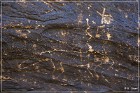 Rock Art Ranch - Petroglyphs