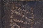 Sears Point Petroglyphs
