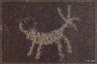 Sears Point Petroglyphs