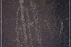 Sears Point Petroglyphs