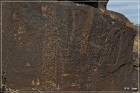 Sears Point Petroglyphs
