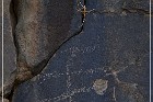 Sears Point Petroglyphs