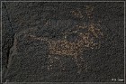 Sears Point Petroglyphs