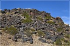 Sears Point Petroglyphs