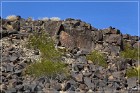 Sears Point Petroglyphs