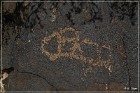Sears Point Petroglyphs