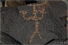 Sears Point Petroglyphs