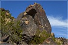 Sears Point Petroglyphs