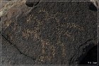 Sears Point Petroglyphs