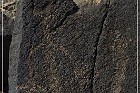 Sears Point Petroglyphs