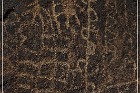 Sears Point Petroglyphs
