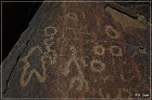 Sears Point Petroglyphs