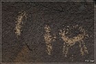 Sears Point Petroglyphs