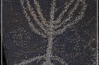 Sears Point Petroglyphs