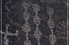 Sears Point Petroglyphs