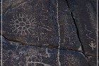 Sears Point Petroglyphs