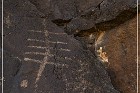 Sears Point Petroglyphs