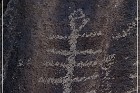 Sears Point Petroglyphs