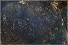 Sears Point Petroglyphs