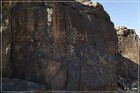 Sears Point Petroglyphs