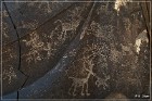 Sears Point Petroglyphs