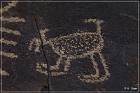 Sears Point Petroglyphs