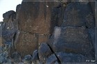 Sears Point Petroglyphs
