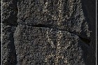 Sears Point Petroglyphs