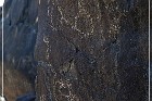 Sears Point Petroglyphs