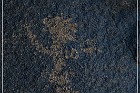 Sears Point Petroglyphs
