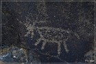 Sears Point Petroglyphs