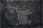 Sears Point Petroglyphs