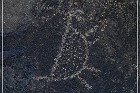 Sears Point Petroglyphs