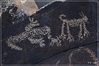 Sears Point Petroglyphs