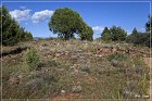 Shoofly Indian Ruins