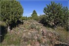 Shoofly Indian Ruins