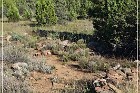 Shoofly Indian Ruins
